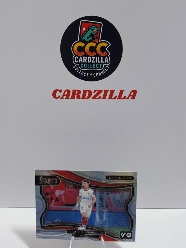 Adria Pedrosa - Panini Select Snapshots