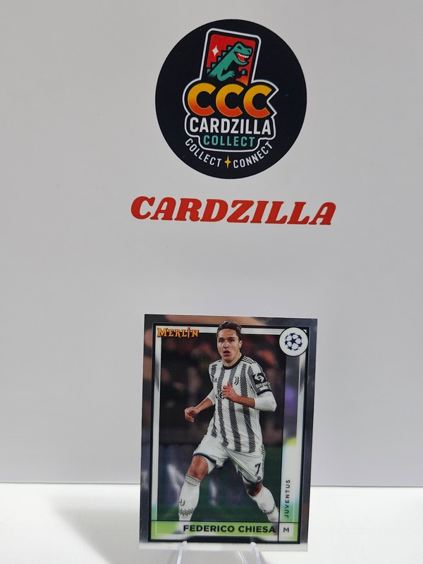 Federico Chiesa - Merlin