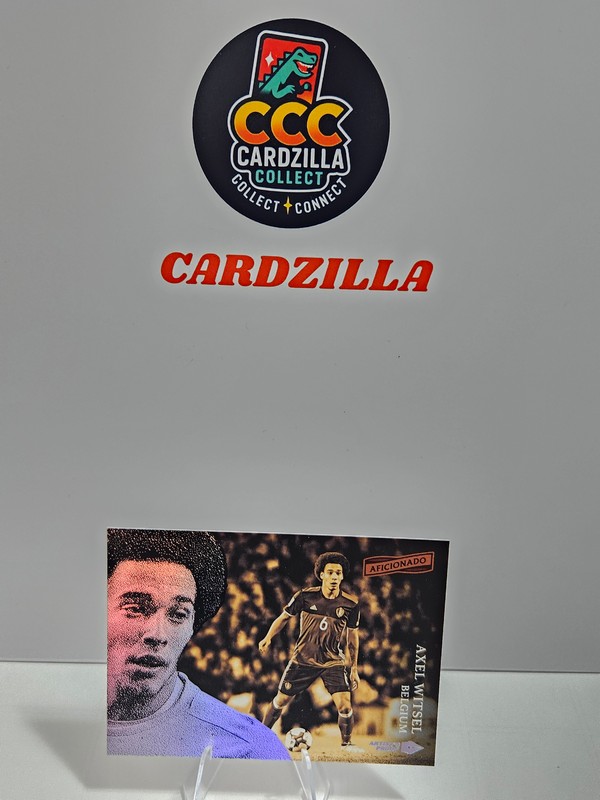 Axel Witsel - Aficionado