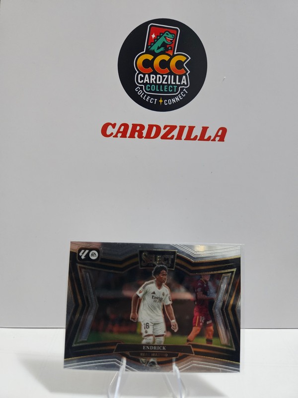 Endrick  - Panini Select Snapshots