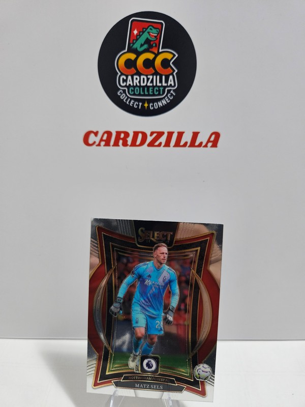 Matz Sels - Panini Select