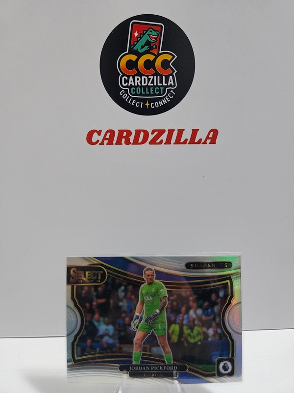 Jordan Pickford  - Panini Select Snapshots