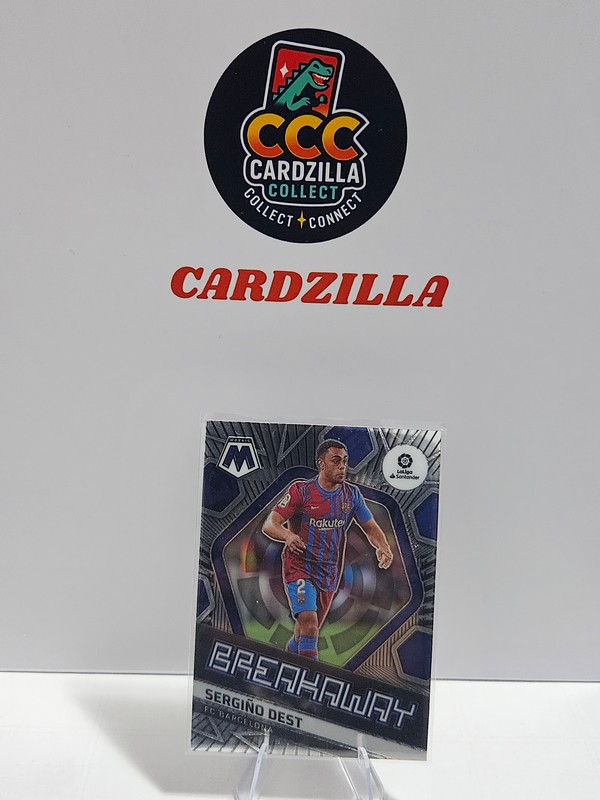 Sergino Dest - Mosaic